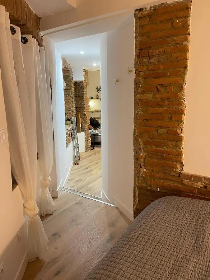 Apartment Studio Charmant-Confort-Hypercentre-Metro-Wifi Toulouse France