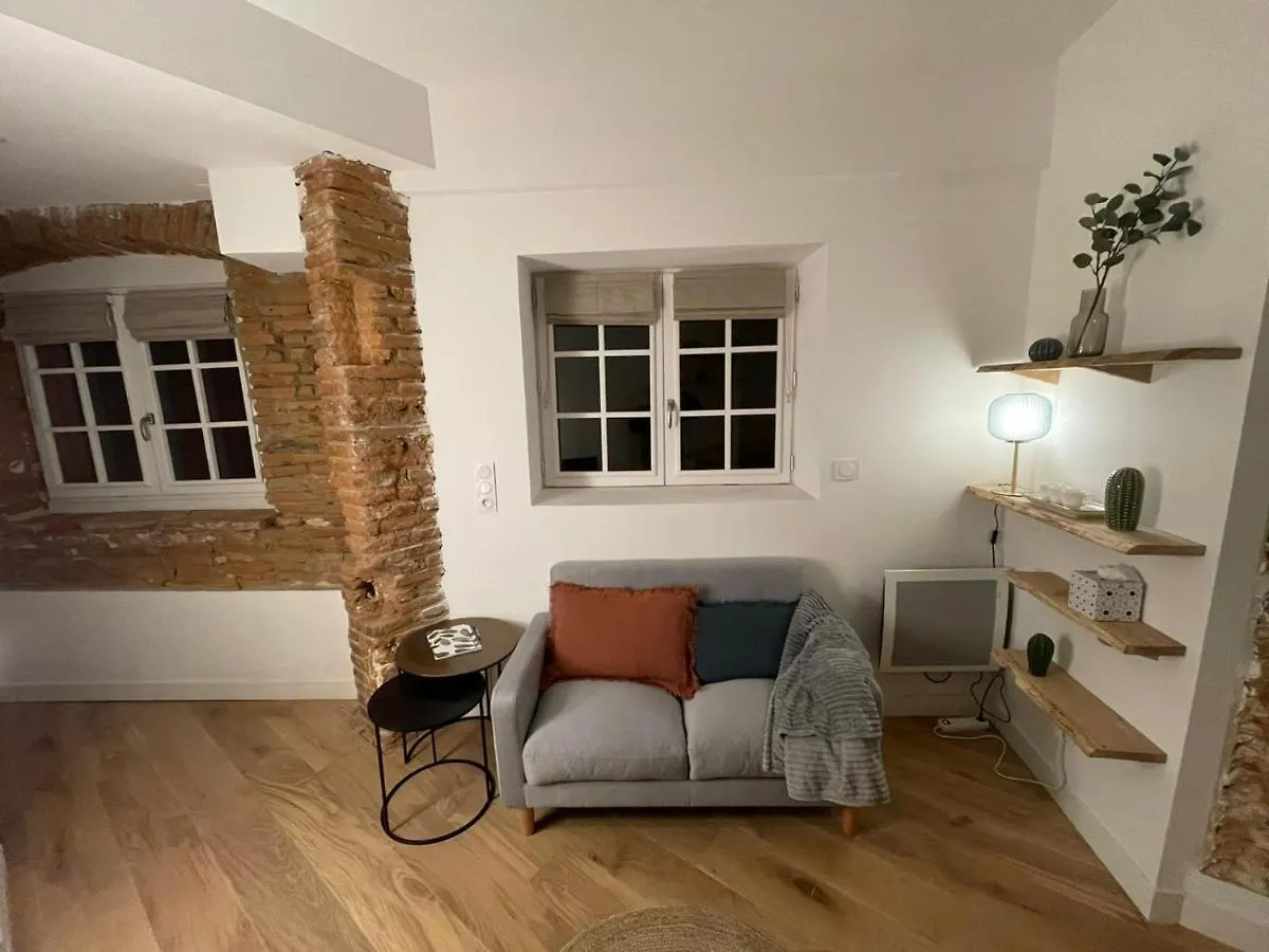 Appartement Studio Charmant-Confort-Hypercentre-Metro-Wifi Toulouse