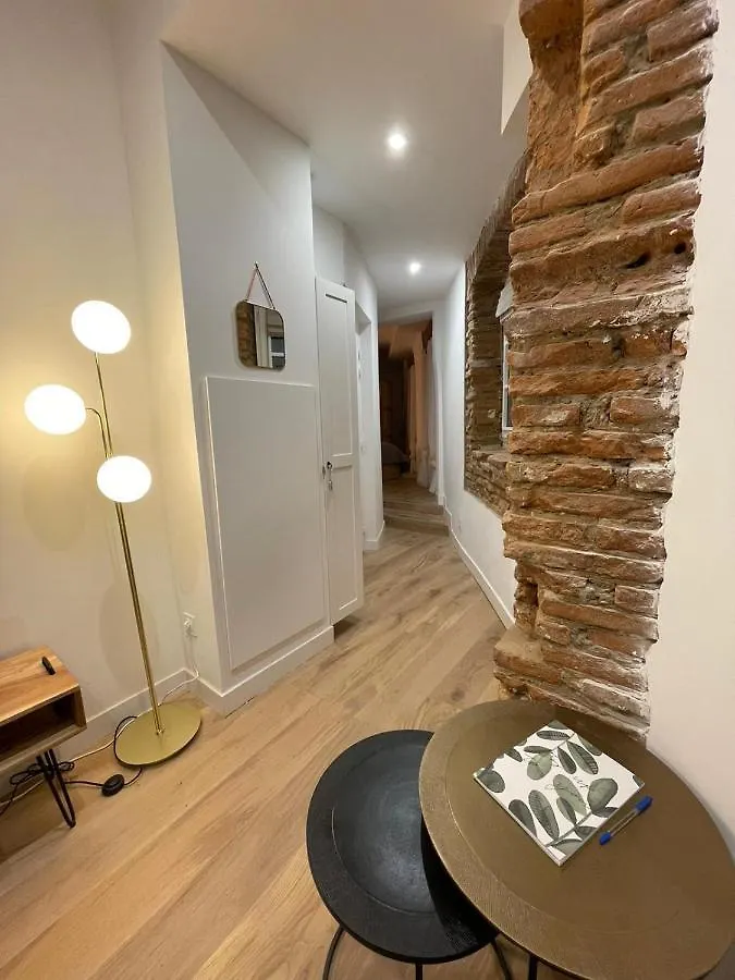 Appartement Studio Charmant-Confort-Hypercentre-Metro-Wifi Toulouse France