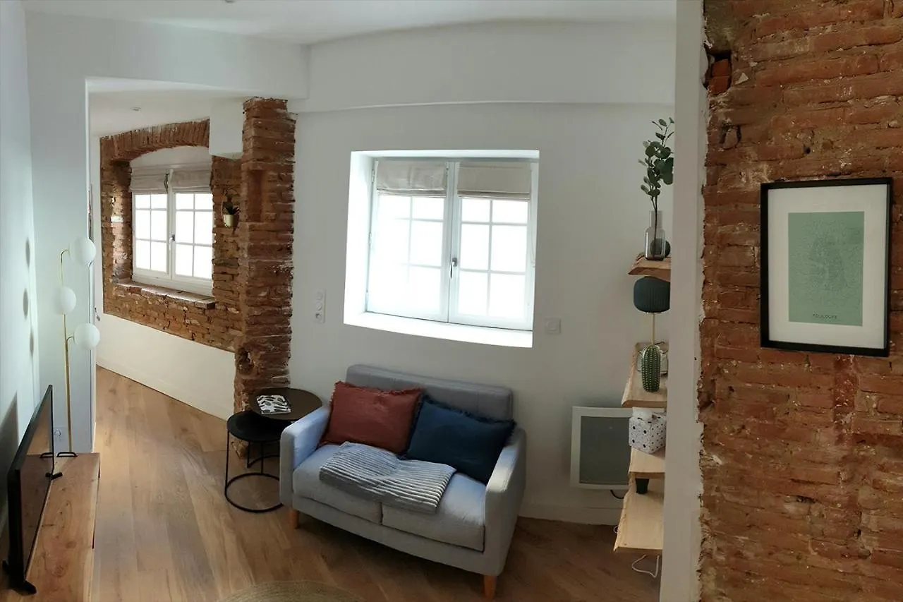 Studio Charmant-Confort-Hypercentre-Metro-Wifi Toulouse
