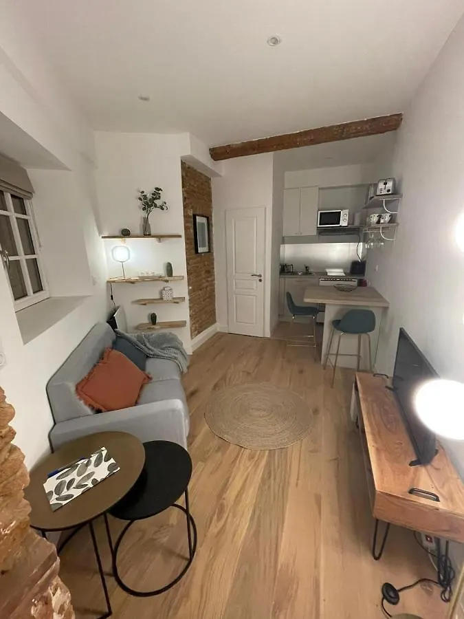 Appartement Studio Charmant-Confort-Hypercentre-Metro-Wifi Toulouse