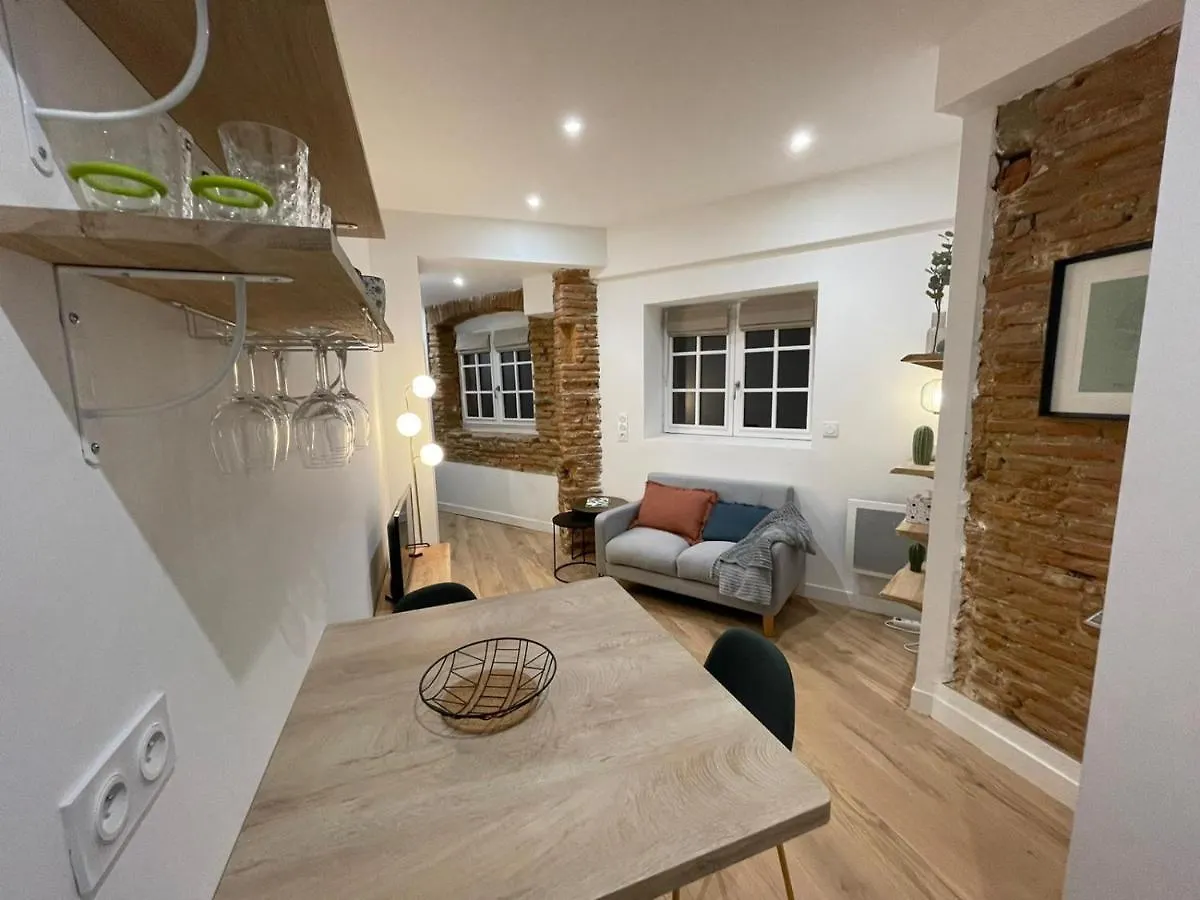 Studio Charmant-Confort-Hypercentre-Metro-Wifi Toulouse